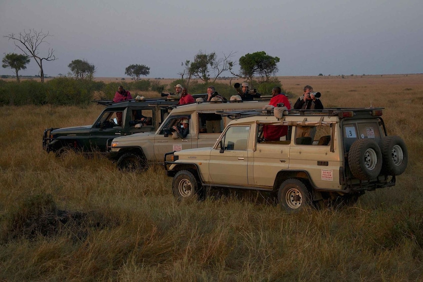 Picture 45 for Activity From Nairobi: 3 Days 2 Nights Masai Mara Group Safari 2