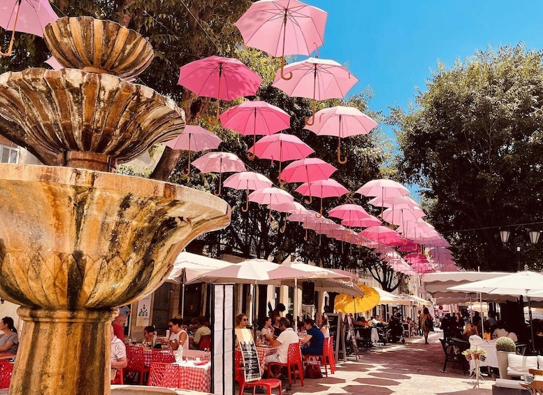 Picture 9 for Activity From Nice: Provence and its Medieval Villages Full-Day Tour 4