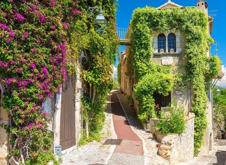 Picture 11 for Activity From Nice: Provence and its Medieval Villages Full-Day Tour 5