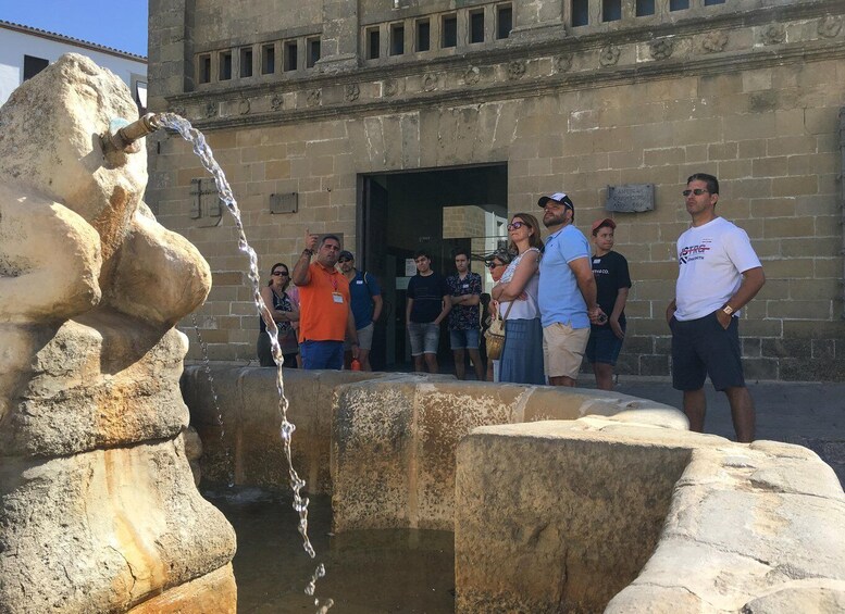 Picture 11 for Activity Baeza: Guided City Tour History 2