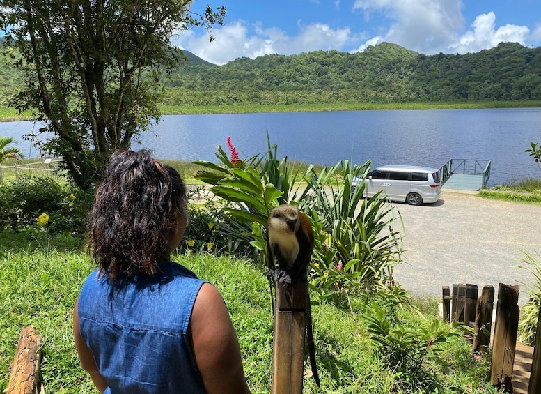 A woman in a blue shirt looking at a bird on a post near a lake with a bus in the background. 1