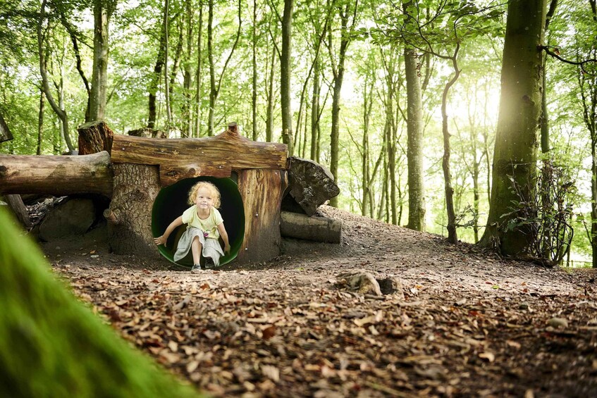 Picture 4 for Activity Skjern: WOW PARK Entry Ticket 3