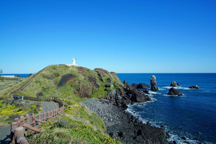 Picture 20 for Activity Jeju: Popular Sightseeing Private Car Charter Tour 5