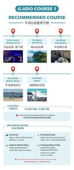 Picture 39 for Activity Jeju: Popular Sightseeing Private Car Charter Tour 5