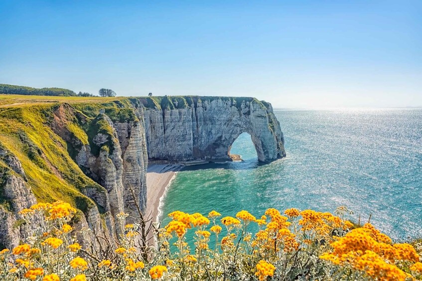 A coastal cliff with a natural arch formation, a sandy beach, and vibrant yellow flowers in the foreground. 3