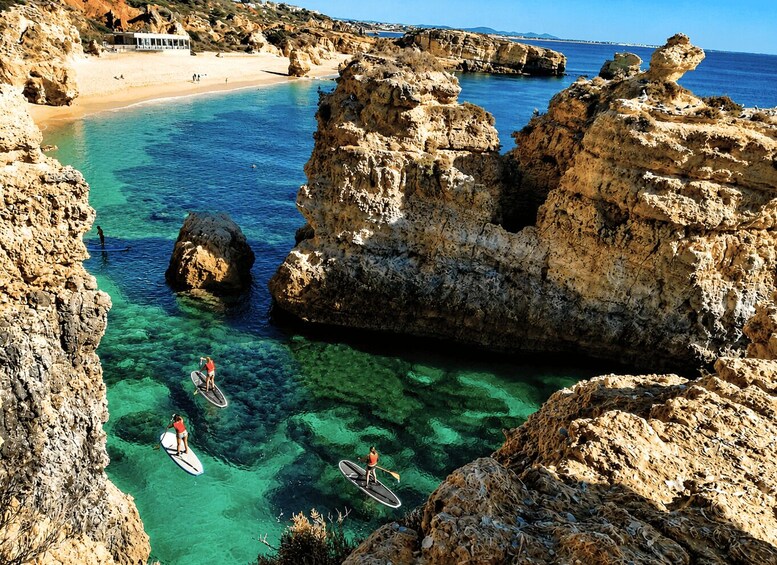 Picture 5 for Activity Albufeira: Caves and Beaches SUP Paddleboarding Tour 4