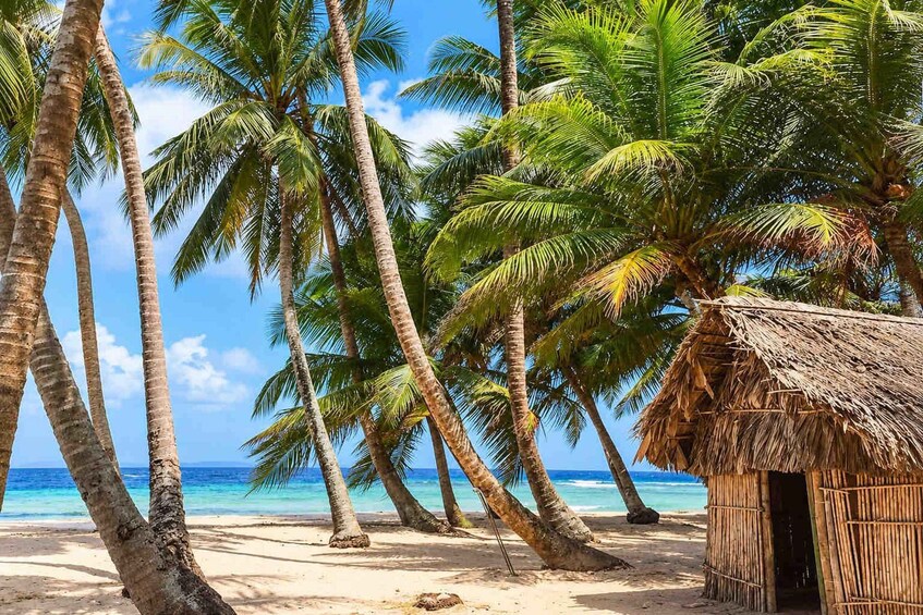 Picture 2 for Activity San Blas: 4-Day Island Hopping with Private Stays & Meals 2