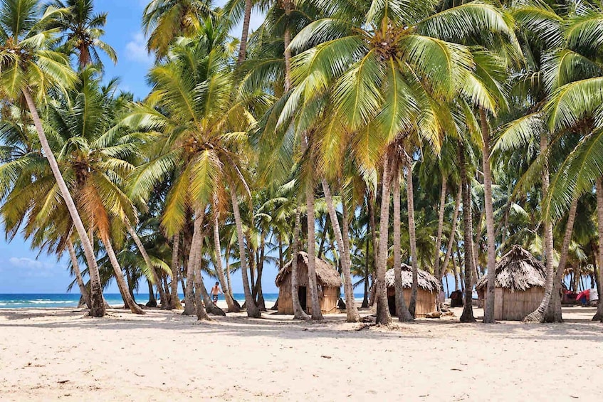 Picture 36 for Activity San Blas: 4-Day Island Hopping with Private Stays & Meals 4