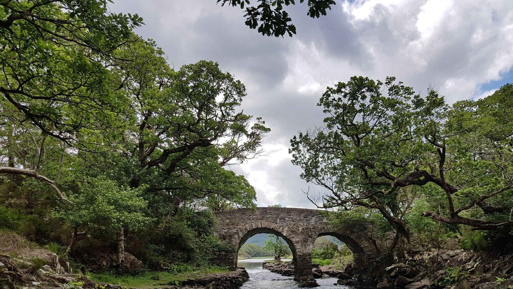 Picture 6 for Activity Killarney: Gap of Dunloe Walking and Boat Tour 2