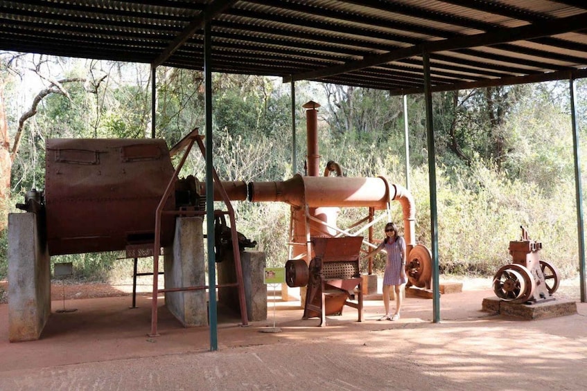 Picture 2 for Activity Kenya Cultural Tour: Giraffe Centre, Blixen & Kobe 3
