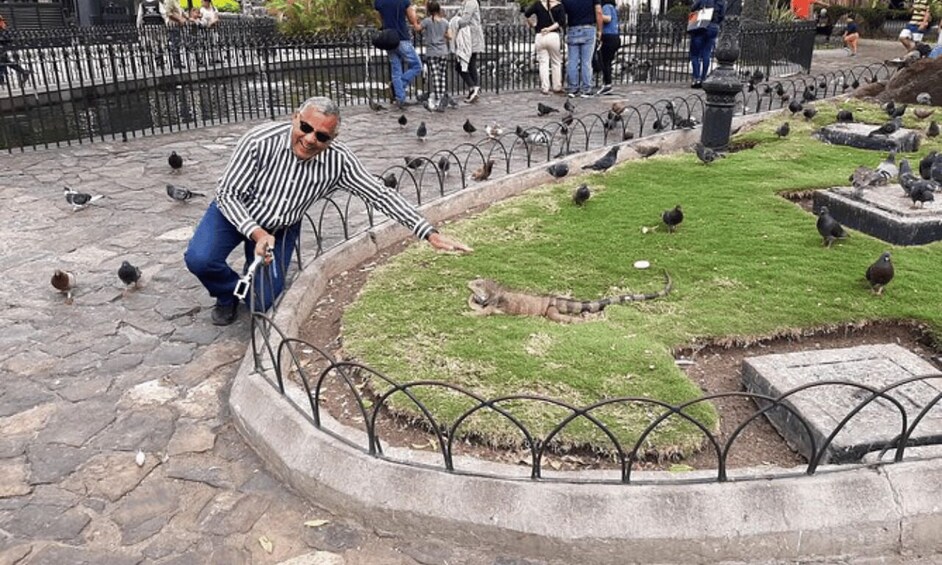 Een man geeft duiven voer in een park met een pad van stenen en een omheind gazon. 1
