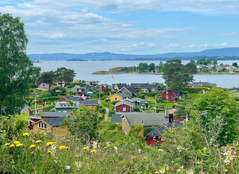 Oslo: Guided Oslofjord Island-Hopping Tour 1
