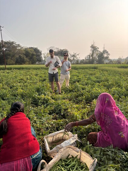 Picture 1 for Activity Farm to Table: With a local farmer family 2