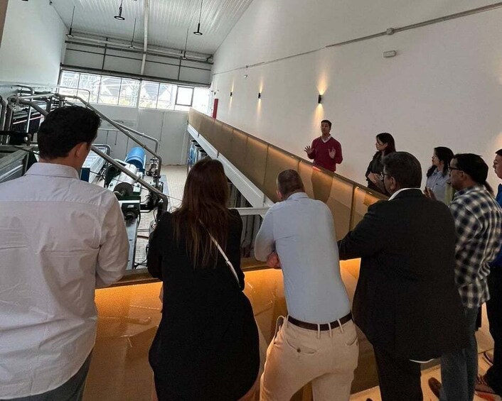 Granada in EVOO: Guided tour and unique sensorial tasting 1