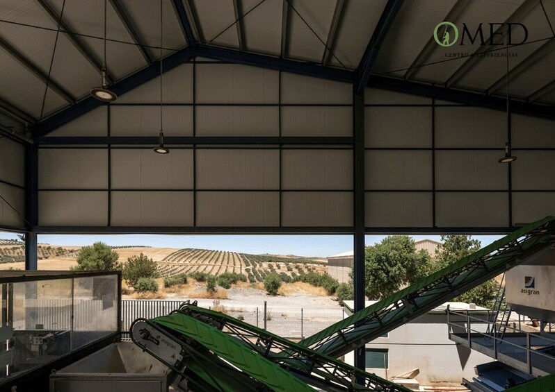 A covered industrial facility with a conveyor belt system, large windows overlooking agricultural fields, and the logo 'MED Centro de Estudios.' 4