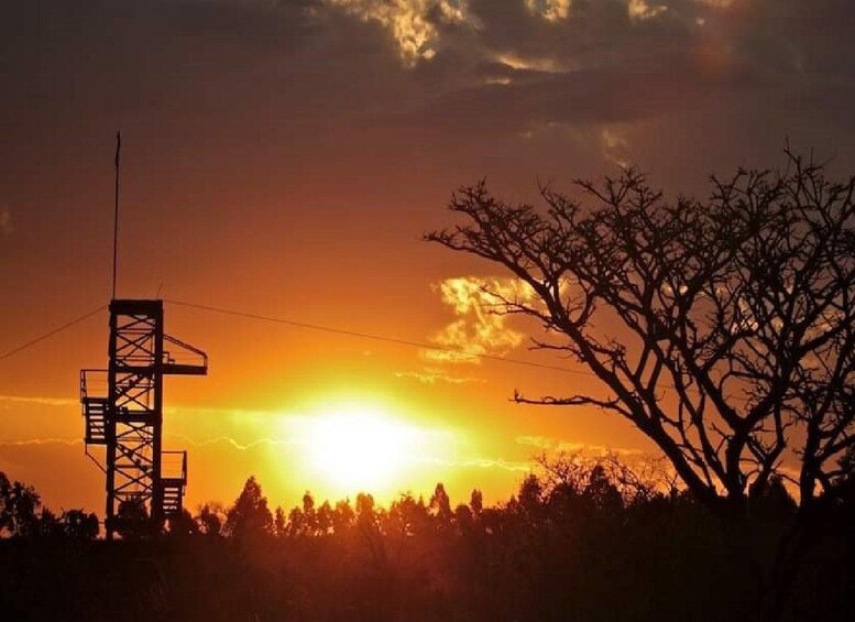 A sunset with a power line tower and leafless trees silhouetted against the sky. 3