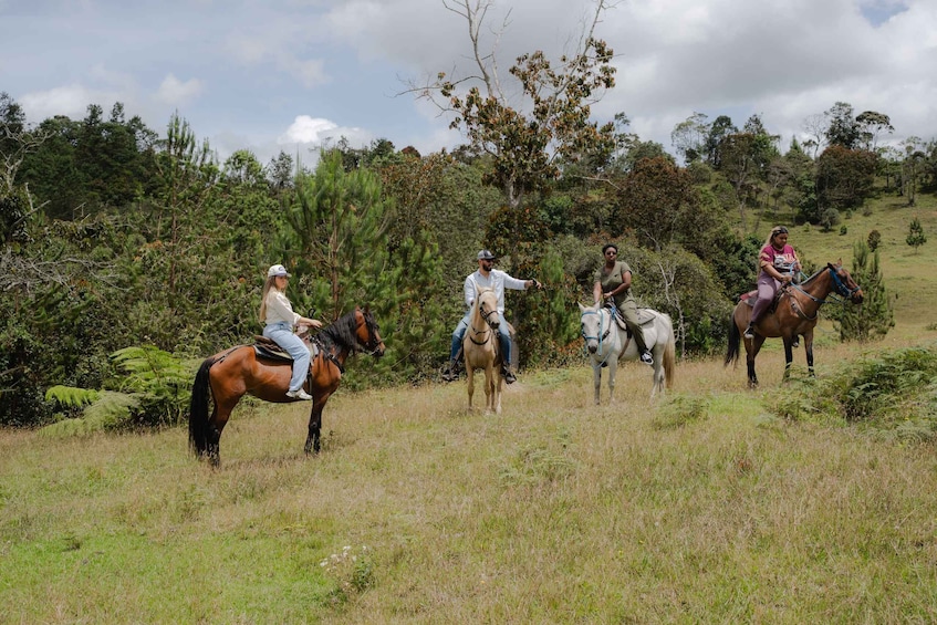 Picture 19 for Activity Medellín: Horseback Riding in Mountains & Panoramic Views 5
