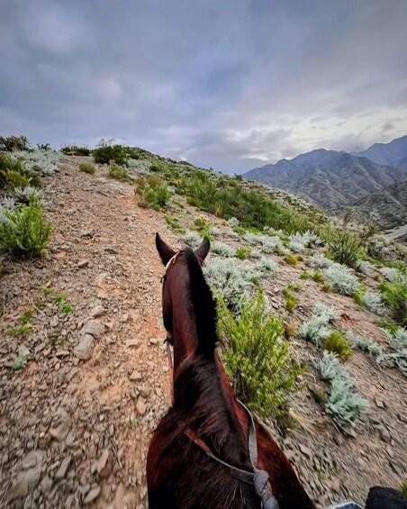Picture 3 for Activity Mendoza: Sunset Horse Back Riding in the Mountains and BBQ 2