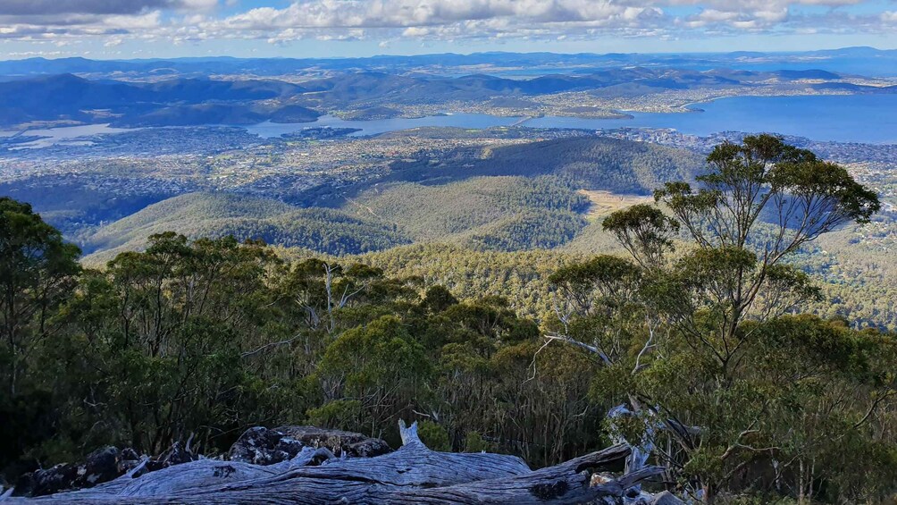 Picture 10 for Activity From Hobart: Mt Wellington Morning Walking Tour 2