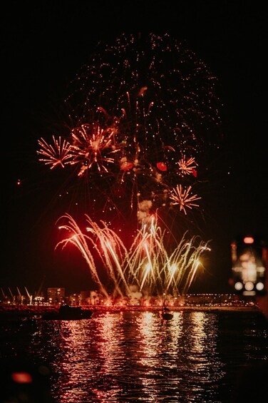 Fireworks over a body of water with reflections, a distant city skyline, and a bridge. 4