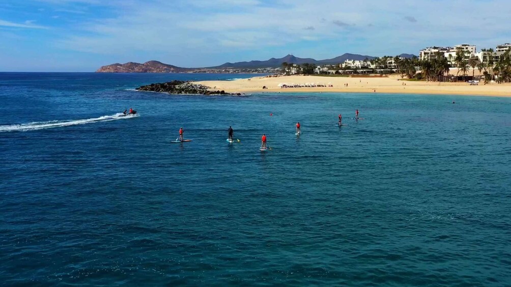 Una platja amb palisters, un esquí aquàtic i una serralada a la distància. 3