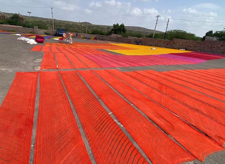 Un amplio espacio al aire libre con tapetes de colores dispuestos en un patrón de cuadrícula. 5