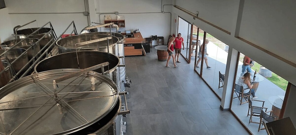 Picture 13 for Activity Ciutadella de Menorca: Family Winery Tour with Wine Tasting 5
