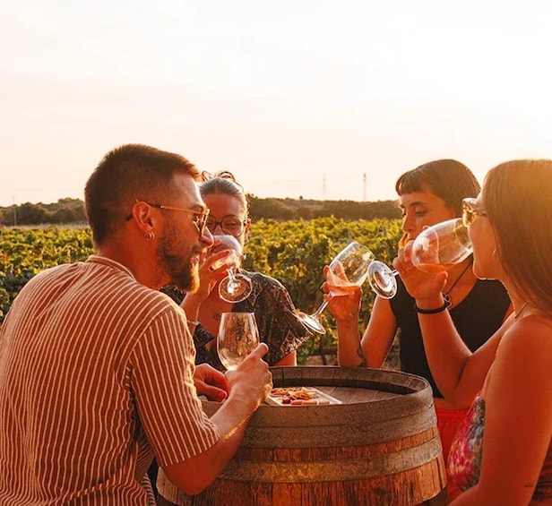 Ciutadella de Menorca: Family Winery Tour with Wine Tasting 1
