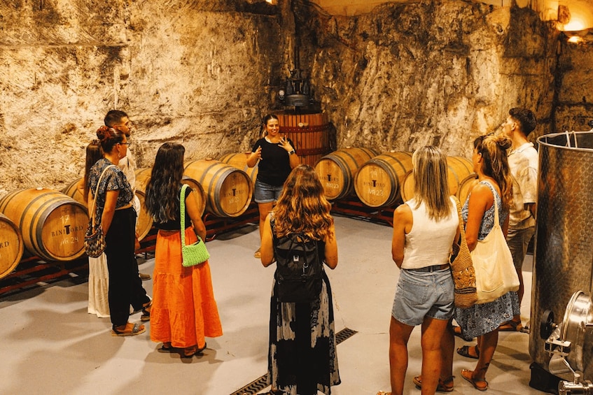 Picture 3 for Activity Ciutadella de Menorca: Family Winery Tour with Wine Tasting 2