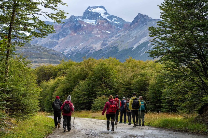 Picture 1 for Activity From Ushuaia: Tierra del Fuego Emerald Lagoon Trekking Tour 3