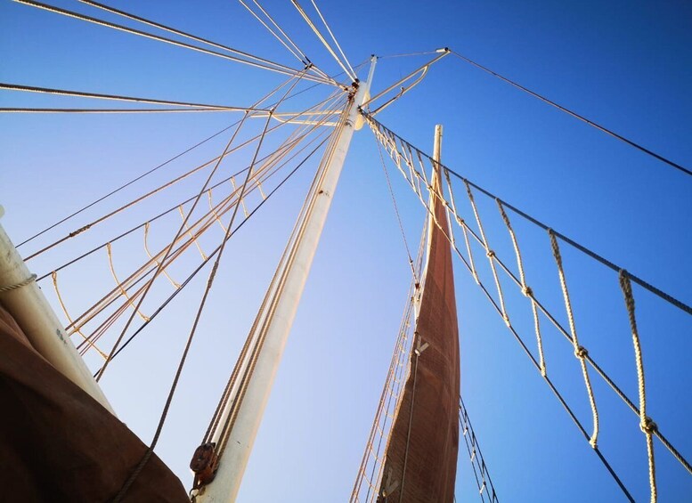 Picture 7 for Activity Cape Town: 1 Hour Table Bay Sailing Tour