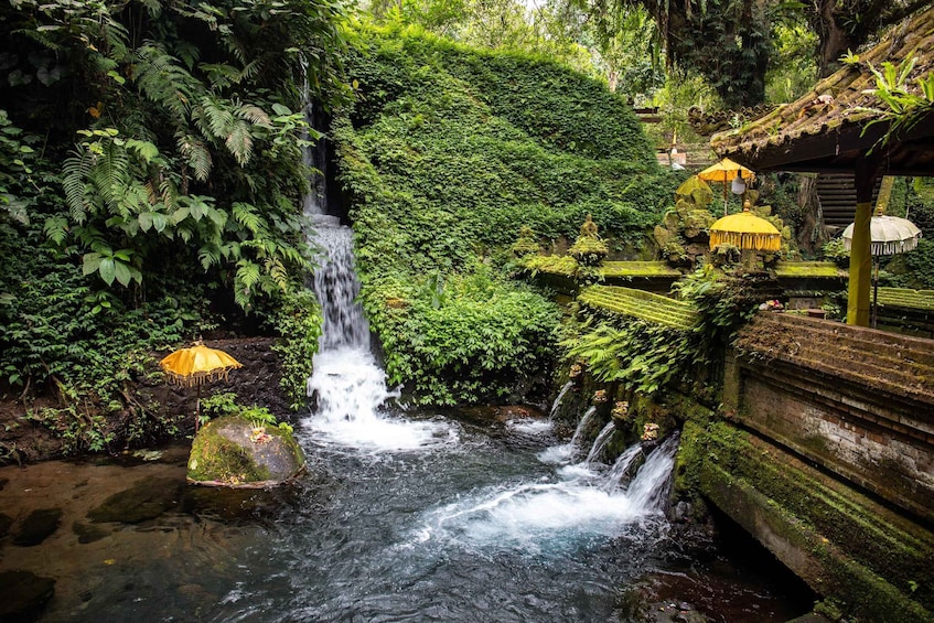 Picture 1 for Activity Bali: Healing and Aura Cleansing Tour with Yoga & Meditation 3