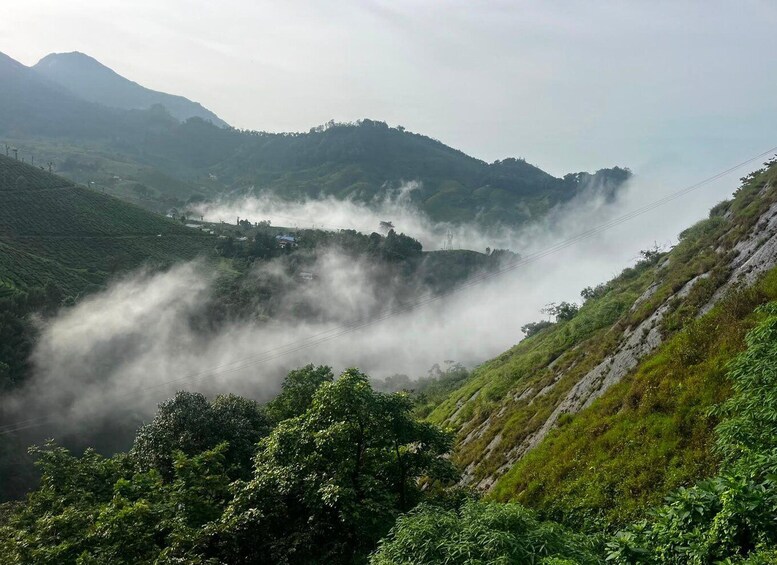 Picture 42 for Activity Kerala : Highlights of South India 7-Day Trip 5