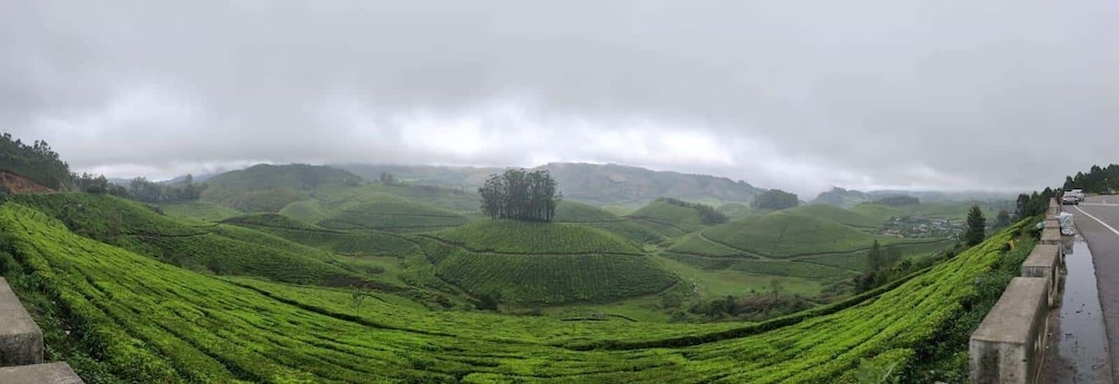 Picture 32 for Activity Kerala : Highlights of South India 7-Day Trip 5