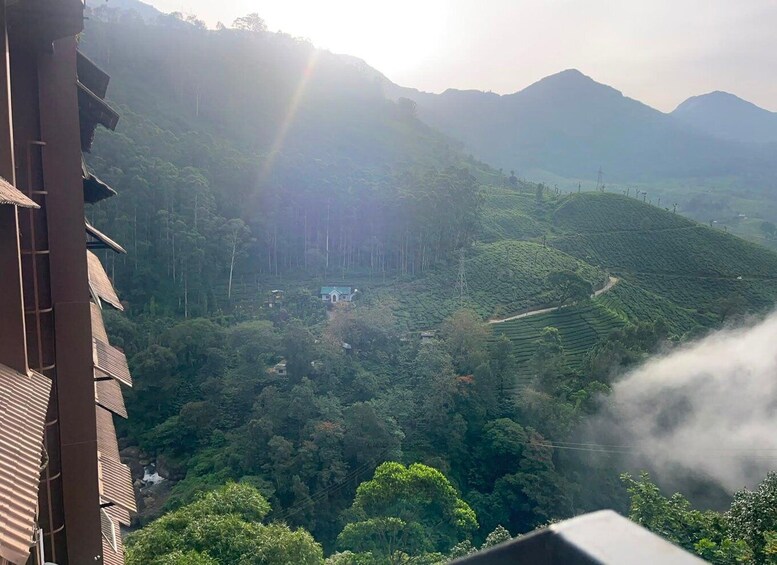 Picture 40 for Activity Kerala : Highlights of South India 7-Day Trip 2