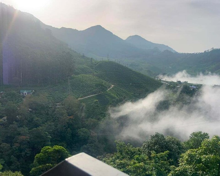Picture 41 for Activity Kerala : Highlights of South India 7-Day Trip 5