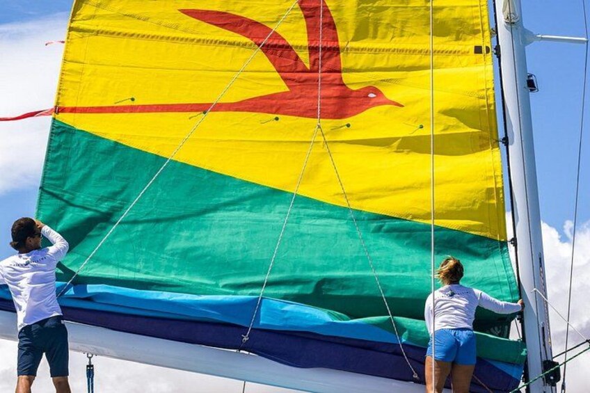 Two people handling a large sail with a bird design. 2