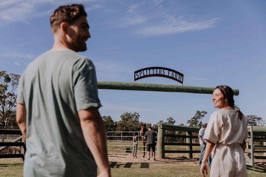 Picture 9 for Activity Bundaberg: Family-Friendly Entry Ticket to Splitters Farm 4