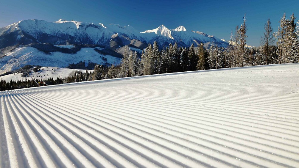 Picture 3 for Activity From Kraków: Tatra Mountans Ski Trip and Thermal Baths Visit 5