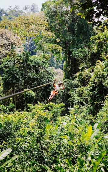 Monteverde: Longest & Highest Extreme Zipline with Transport 1
