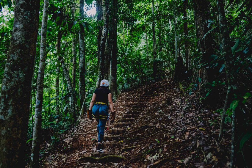 Picture 1 for Activity Monteverde: Longest & Highest Extreme Zipline with Transport 2