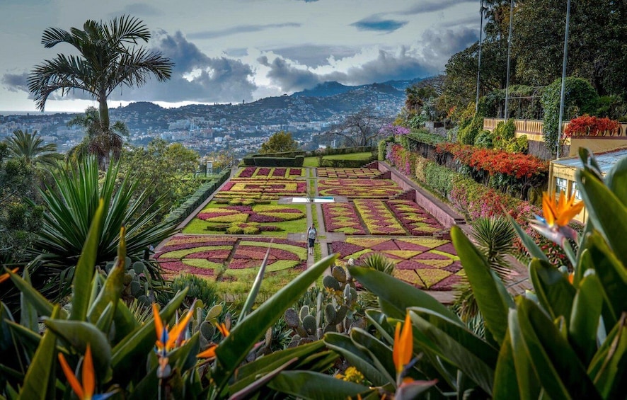 A botanical garden with geometric flower beds and a cityscape in the background. 1