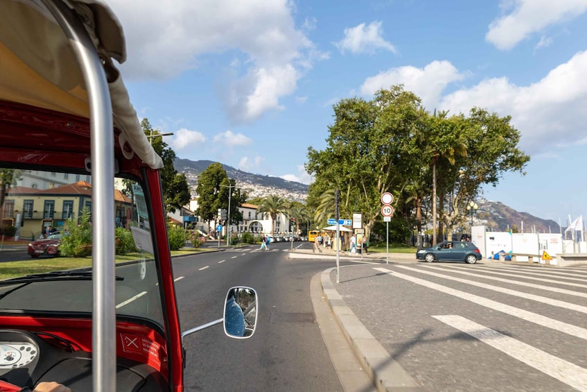 A red bus driving on a city street with trees, buildings, and a mountain in the background. 4