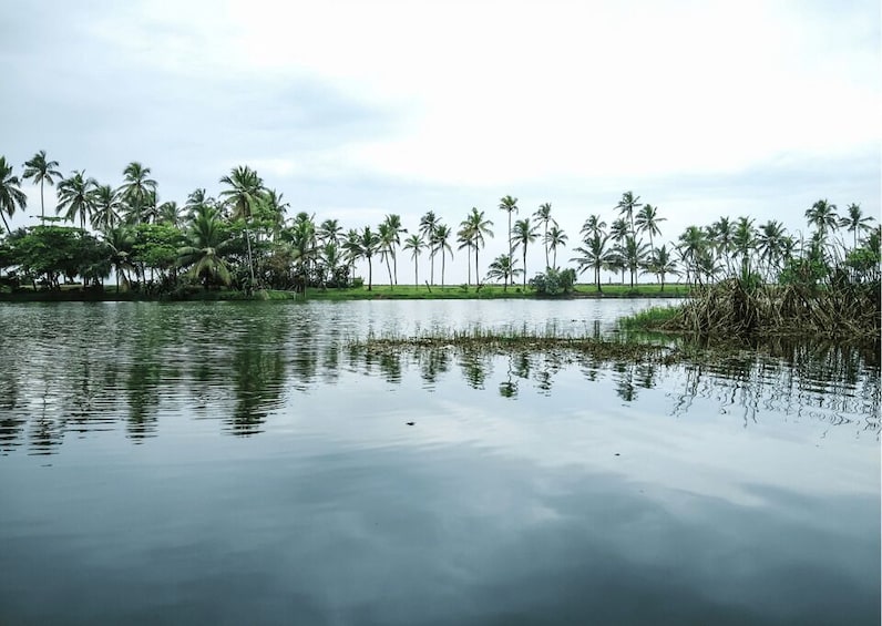 A calm lake with palm trees reflecting on the water. 2