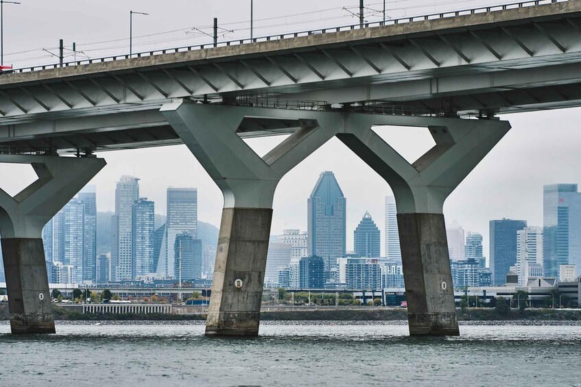Picture 7 for Activity Montreal: Lachine Rapids Sightseeing Tour 1