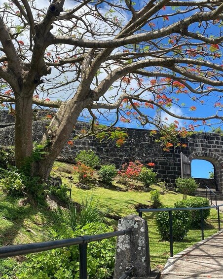 All about Grenada 1