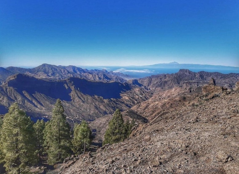 Picture 14 for Activity Gran Canaria: Full-Day Guided Hiking With Snacks 2