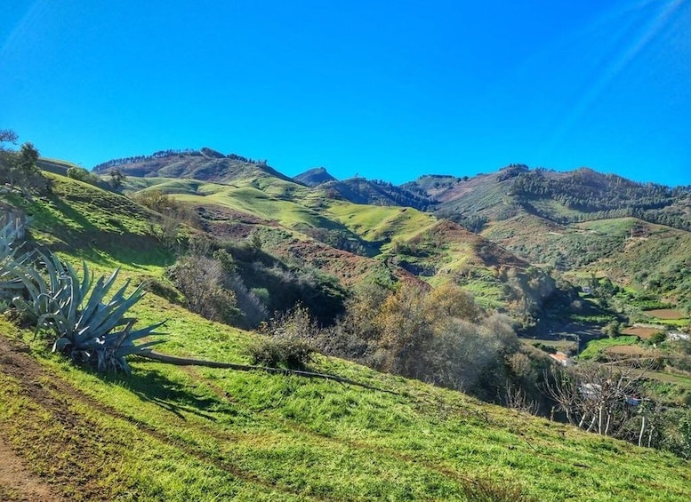 Picture 10 for Activity Gran Canaria: Full-Day Guided Hiking With Snacks 4