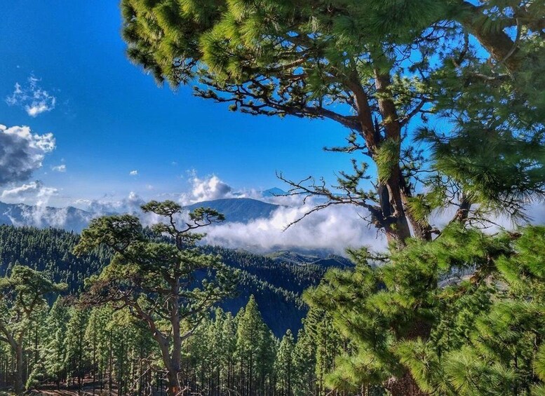 Picture 9 for Activity Gran Canaria: Full-Day Guided Hiking With Snacks 3