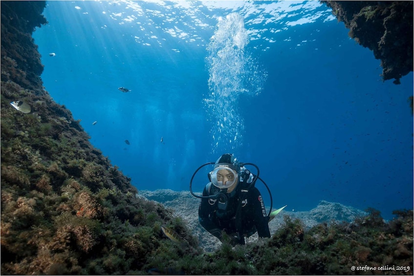 A diver underwater with bubbles rising to the surface. 1